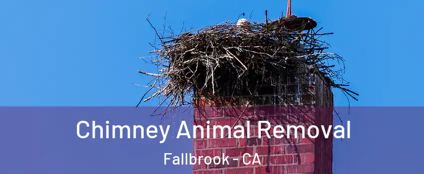 Chimney Animal Removal Fallbrook - CA