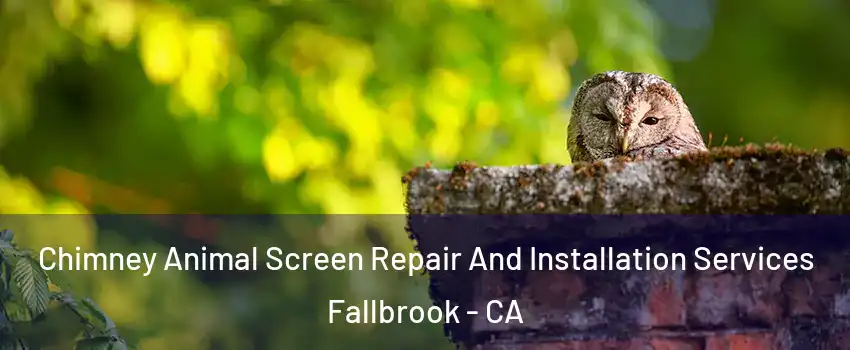  Chimney Animal Screen Repair And Installation Services Fallbrook - CA