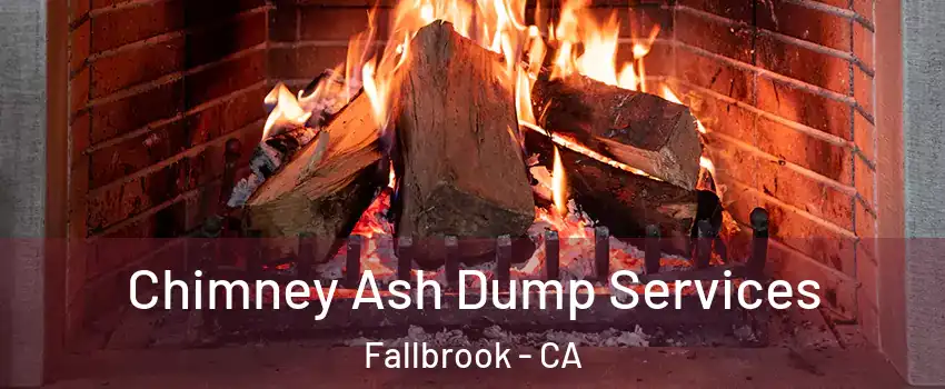  Chimney Ash Dump Services Fallbrook - CA