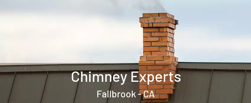 Chimney Experts Fallbrook - CA