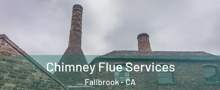  Chimney Flue Services Fallbrook - CA
