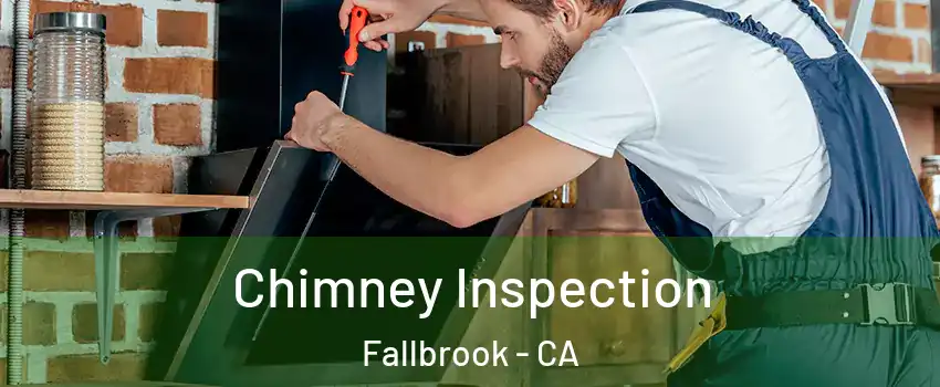  Chimney Inspection Fallbrook - CA