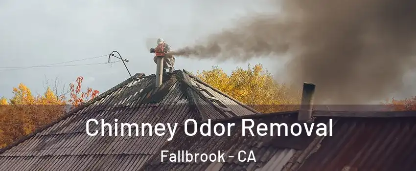  Chimney Odor Removal Fallbrook - CA