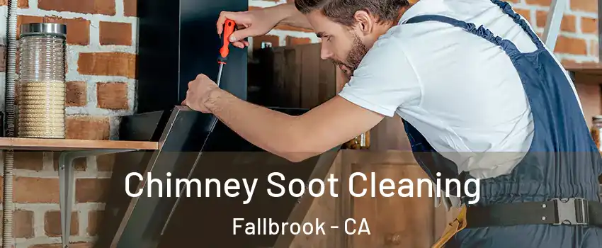  Chimney Soot Cleaning Fallbrook - CA