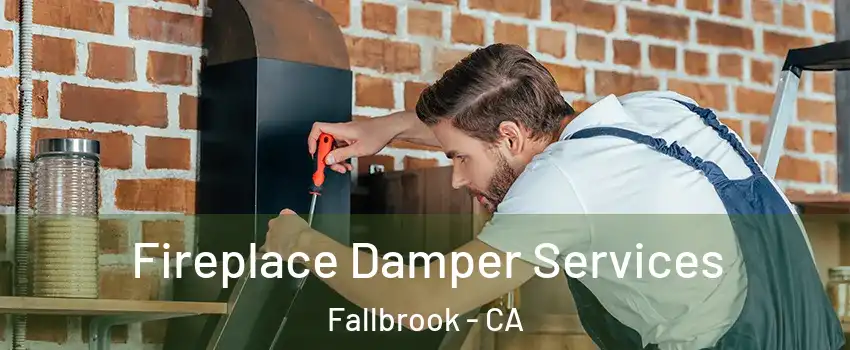  Fireplace Damper Services Fallbrook - CA
