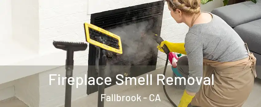  Fireplace Smell Removal Fallbrook - CA