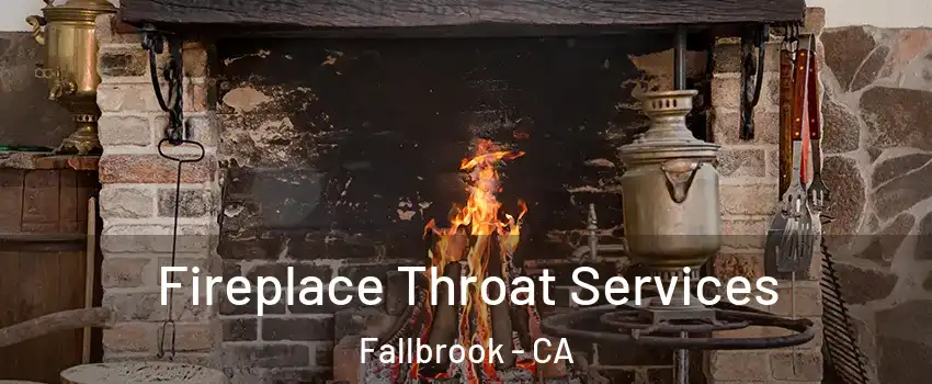  Fireplace Throat Services Fallbrook - CA