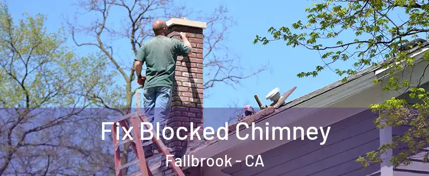  Fix Blocked Chimney Fallbrook - CA