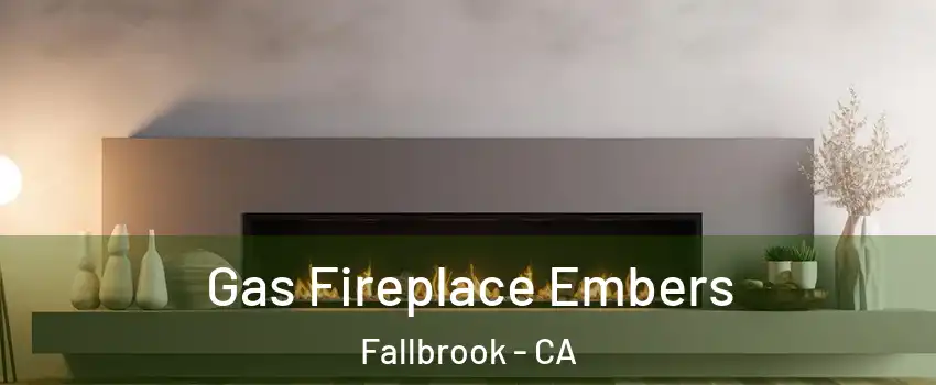  Gas Fireplace Embers Fallbrook - CA