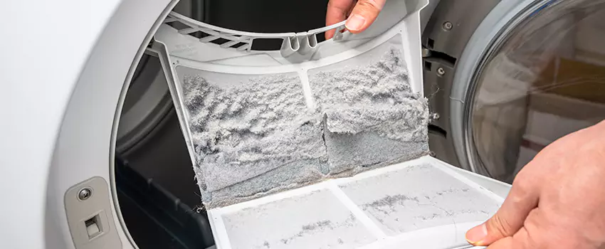 Best Dryer Lint Removal Company in Fallbrook, California