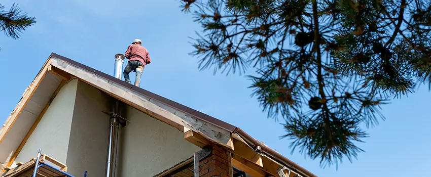 Birds Removal Contractors from Chimney in Fallbrook, CA