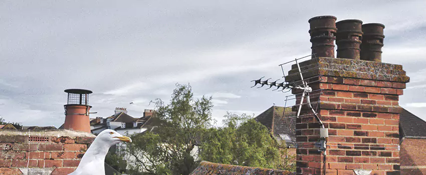 Chimney Cleaning And Restoration in Fallbrook, California