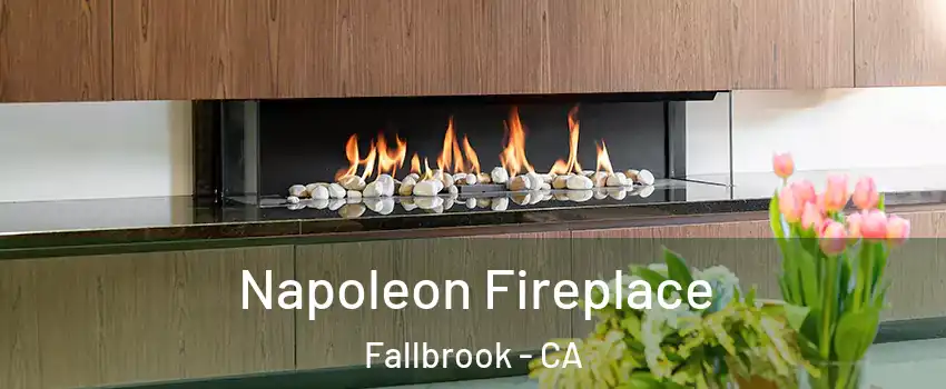  Napoleon Fireplace Fallbrook - CA
